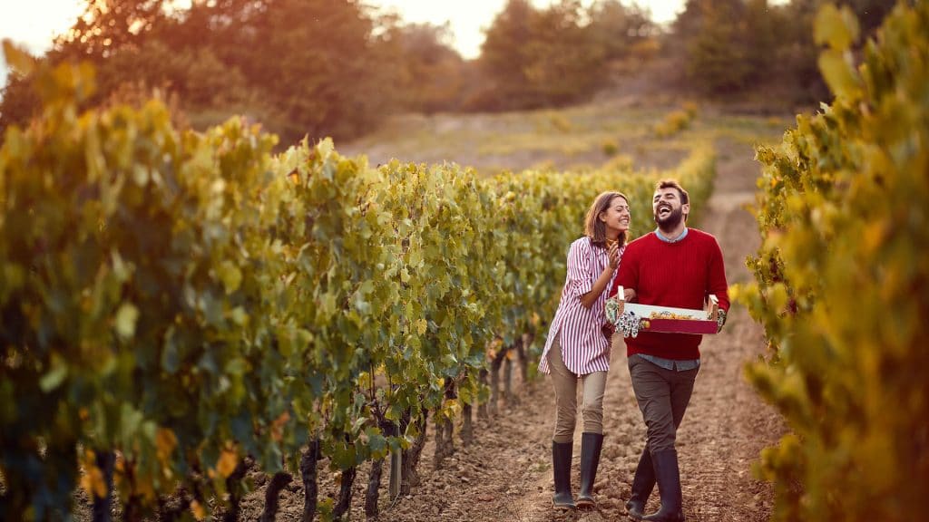 Accounting Services Melbourne